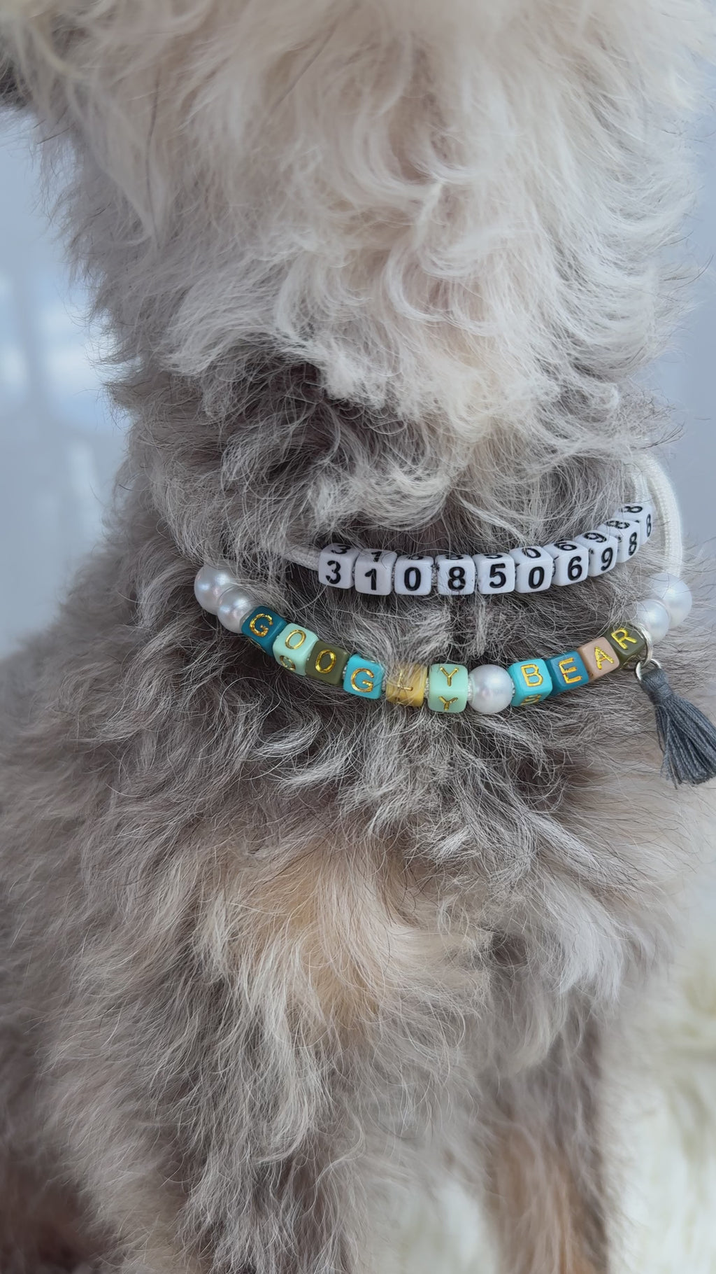 I.D. PUP