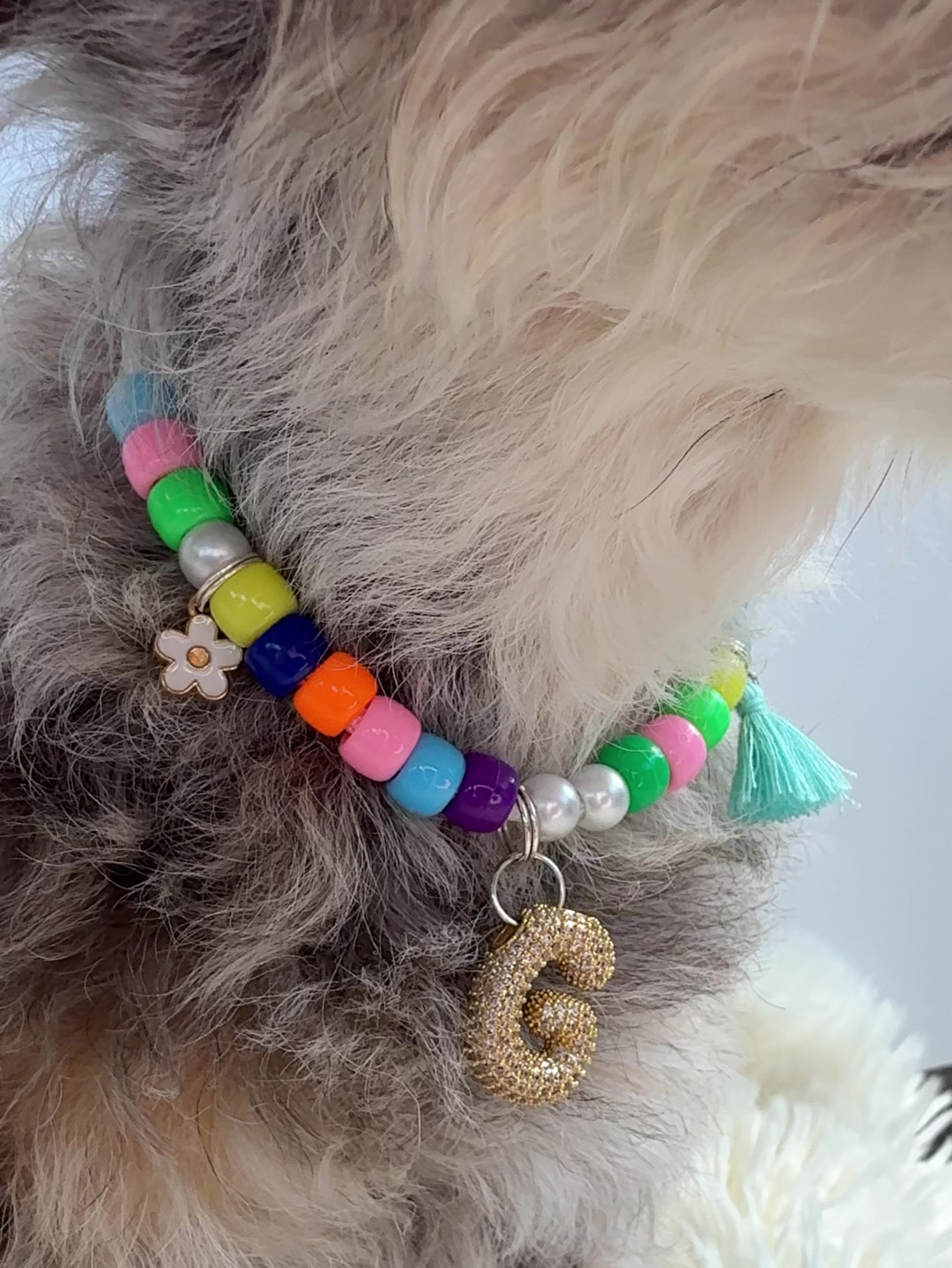 Charmed Pup